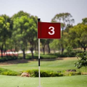 Гольф-паттинг Грин-паттинг