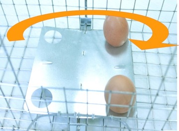 Живая ловушка для лисиц-куне, ловушка для кошек, большая 150 см