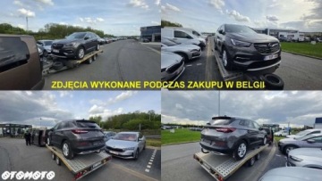 Opel 2020 Opel Grandland X Opel Grandland X 1.6 T PHEV Ultimate 1.6 Hybryda Plug-in, zdjęcie 9