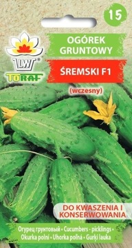 OGÓREK ŚREMSKI F1 ODMIANA WCZESNA