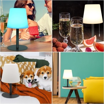 ДЕКОРАТИВНАЯ RGB СВЕТОДИОДНАЯ НАСТОЛЬНАЯ ЛАМПА