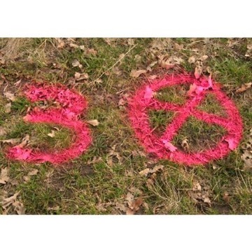 SOPPEC Track Marker геодезическая краска, спрей МИКС цветов, 12 шт.