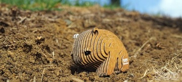 Вомбат Юджи. Эко-пазл 3D.