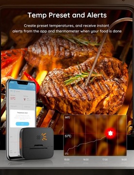 ПИЩЕВОЙ ТЕРМОМЕТР GOVEE с Bluetooth
