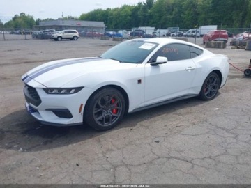 Ford Mustang VI 2024 Ford Mustang Ecoboost Premium Fastback 2024 2.3l 2.3 Benzyna 315KM, zdjęcie 1