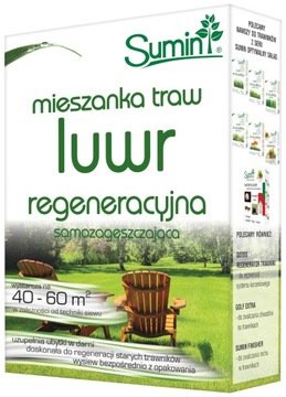 Sumin Trawa regeneracyjna Luwr mieszanka traw 1 kg