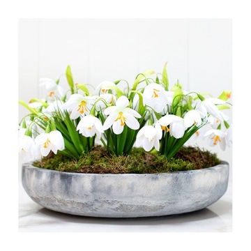 MISA NA OWOCE BETONOWA DEKORACYJNA NOWOCZESNA ⌀39