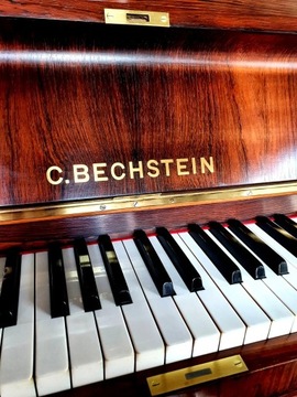 Фортепиано C. Bechstein из палисандра
