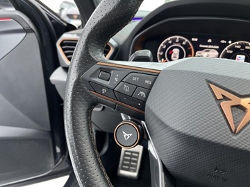 Cupra Formentor Crossover 2.0 TSI 310KM 2023 Cupra Formentor VZ, FV-23%, ASO, Bezwypadkowy, I w, zdjęcie 31