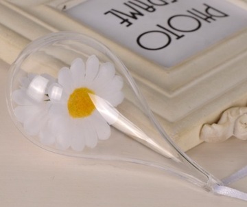 АКРИЛОВАЯ СЛЕЗА, АКРИЛОВЫЙ ПУЗЫРЬ, СЛЕЗЫ