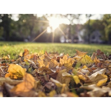 Gardena Пылесос для сбора листьев и травы 3565