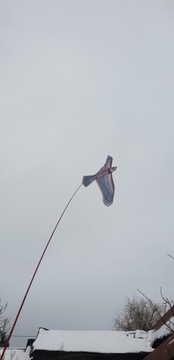 Профессиональный отпугиватель птиц KITE falcon EAGLE + 7M MAST + SWIRL