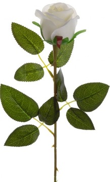 RÓŻA GAŁĄZKA 62 CM J. KREM