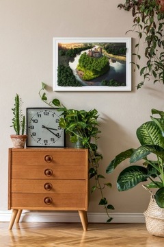 Картина мхом Замок на холме 60х40