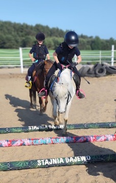 HorseMania - водонепроницаемые чехлы для шестов, деревянных брусьев, 2 шт.