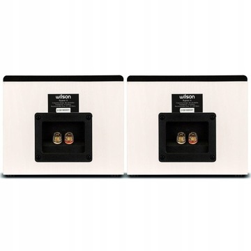 WILSON RAPTOR X ATMOS DTS:X 3D ДИНАМИКИ БЕЛАЯ ПАРА КОЛОНКИ