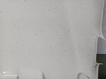 Потолок Fiat Grande Punto 5D