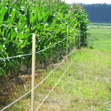 Опоры для томатов 150см/8 мм Опора из стекловолокна Стебель 10 шт.