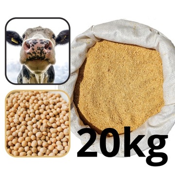 Śruta Sojowa Koncentrat białkowy sojowy 46% 20kg