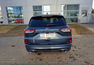 Ford Kuga III SUV 1.5 EcoBoost 150KM 2020 Ford Kuga Ford Kuga 1.5 EcoBoost 150KM, ST-line X, Salon PL 1.5 Benzyna, zdjęcie 4
