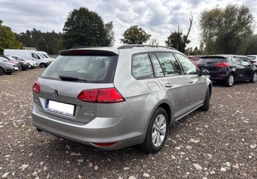 Volkswagen Golf VII Variant 1.6 TDI CR DPF BlueMotion Technology 105KM 2014 Volkswagen Golf 1.6D 105KM przeb.186tys ksiazka xenon zarejestrowany 1.6, zdjęcie 4