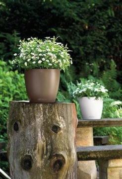 Вазон Lechuza Classico LS 35, белый глянец