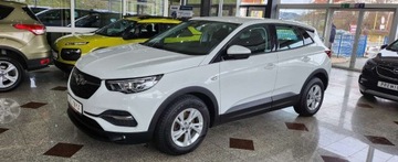 Opel 2017 Opel Grandland X Granlnd x Automt Nowy model Ledy MOZLIWA ZAMIANA 1.2, zdjęcie 20