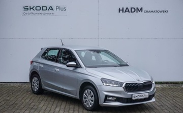 Skoda Fabia IV 1.0 MPI 80KM 2024 Skoda Fabia 1,0 MPI 80 KM Benzyna 80KM, zdjęcie 8