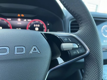 Skoda Karoq Crossover Facelifting 1.5 TSI ACT 150KM 2026 Skoda Karoq Sportline 1.5 TSI 150 KM DSG, zdjęcie 14