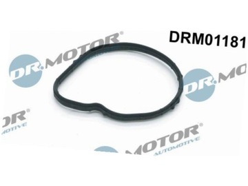 DR.MOTOR DRM01181 TĚSNĚNÍ TERMOSTAT