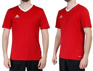 ADIDAS Entrada 22 T-Shirt koszulka męska sport S