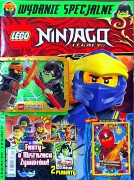 LEGO NINJAGO ws 5 /23 + Cole vs rycerz szkielet