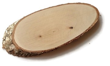 Plastry brzozy owalne skośne podłużne20-25cm szlif