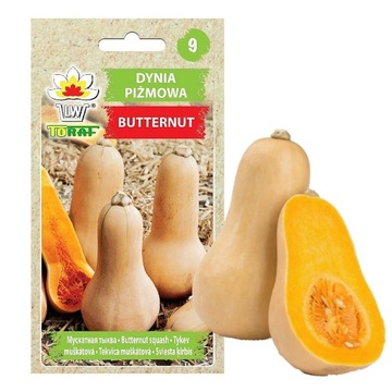 Nasiona Dyni DYNIA PIŻMOWA BUTTERNUT nasiona warzyw BEZWŁÓKNISTA