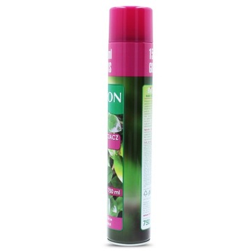 Plant Flower Leaves Shine 750мл Букет Спрей GLOSS Shine