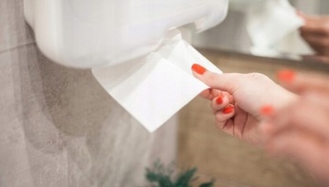 Полотенца бумажные Ellis целлюлозные БЕЛЫЕ 200 шт.