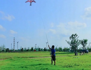 Репеллент от птиц скворцов EAGLE KITE FLAG MAST 6 м - PREMIUM MAX