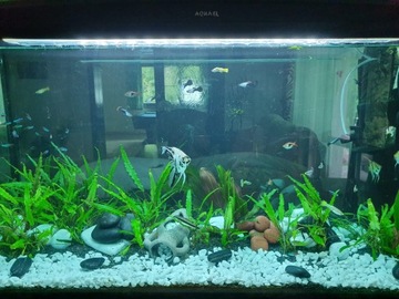 THASSOS зерно 16-32мм белый 25 кг белоснежный