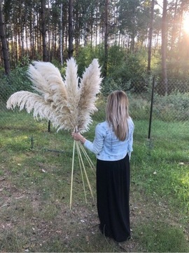 ДЕЛЮКС ПАМПАССКАЯ ТРАВА 150см С ДЛИННЫМ ПЕРЕМЫЧЕМ