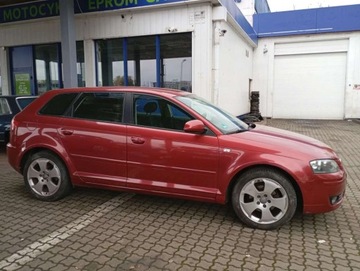 Audi A3 8P Hatchback 3d 1.6 FSI 115KM 2007 Audi A3 Sportback 1.6 benzyna CLIMATRONIC PIEKNY kolor bez rdzy 1.6 115KM, zdjęcie 23