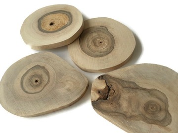 Plastry drewna orzech 8-10cm / 1cm szlif drewniane