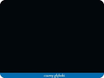 Лак для ретуши окон, дверей, RAL 9005 черный, 28мл