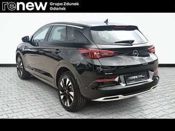 Opel 2023 Opel Grandland Polski Salon | Pierwszy właściciel, zdjęcie 6