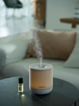 АРОМАТНЫЙ ДИФФУЗОР Easy Living Esteban