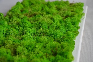 Мох CHROBOTEK, яркий, насыщенный зеленый, деревянная рама