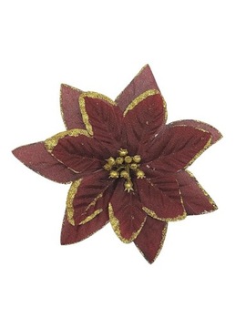 Gwiazda betlejemska 12 cm bordowa