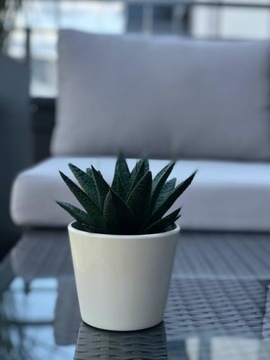 КЕРАМИЧЕСКАЯ КРЫШКА ДЛЯ ЦВЕТОЧНОГО ВАЗОНА 12 СМ, БЕЛАЯ