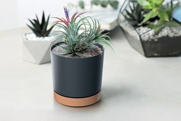 ЦВЕТОЧНЫЙ ВАЗ АНТРАЦИТОВЫЙ 24см, крышка с подставкой BLACK CLIC+DROP POLISH PRODUCT