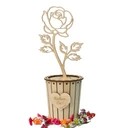 Коробка конфет, цветок, День бабушки, День святого Валентина, Женский день