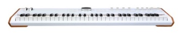 Arturia AstroLab USB Control Keyboard Stage со звуками + SOFT